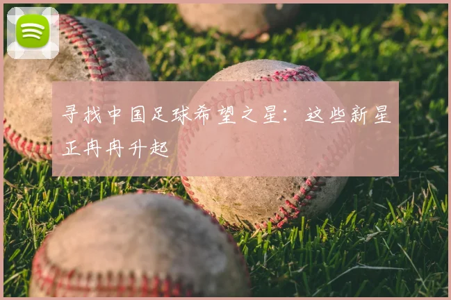 寻找中国足球希望之星：这些新星正冉冉升起