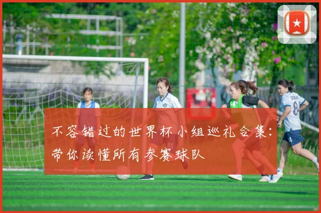 不容错过的世界杯小组巡礼合集:带你读懂所有参赛球队